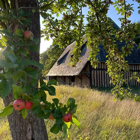 Le - Grande Maison Avec Jacuzzi - Calme Et Nature Pavilly